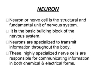 NEURON
⮚Neuron or nerve cell is the structural and
fundamental unit of nervous system.
⮚ It is the basic building block of the
nervous system.
⮚Neurons are specialized to transmit
information throughout the body.
⮚These highly specialized nerve cells are
responsible for communicating information
in both chemical & electrical forms.
 