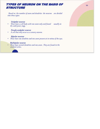 Structure of neuron ,their types and functions | PDF