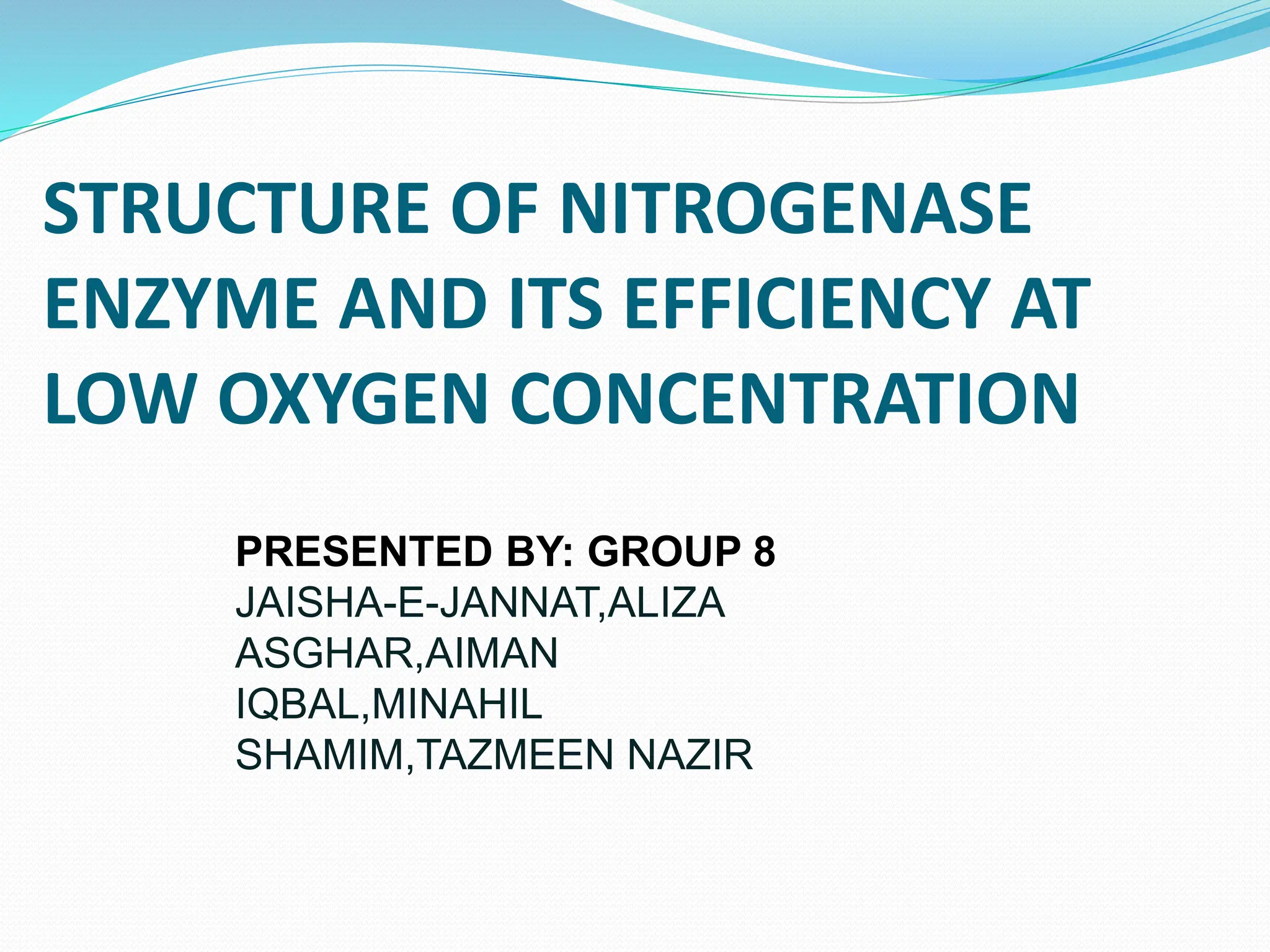 STRUCTURE OF NITROGENASE enzyme group 8 ppt.pptx