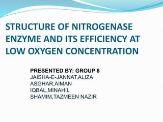 STRUCTURE OF NITROGENASE
ENZYME AND ITS EFFICIENCY AT
LOW OXYGEN CONCENTRATION
PRESENTED BY: GROUP 8
JAISHA-E-JANNAT,ALIZA
ASGHAR,AIMAN
IQBAL,MINAHIL
SHAMIM,TAZMEEN NAZIR
 
