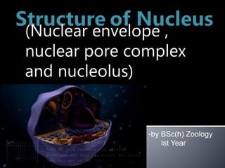 (Nuclear envelope ,
nuclear pore complex
and nucleolus)
-by BSc(h) Zoology
Ist Year
 