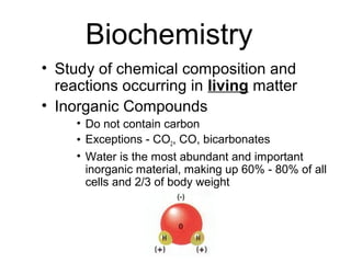 Biochemistry
• Study of chemical composition and
  reactions occurring in living matter
• Inorganic Compounds
     • Do not contain carbon
     • Exceptions - CO2, CO, bicarbonates
     • Water is the most abundant and important
       inorganic material, making up 60% - 80% of all
       cells and 2/3 of body weight
 