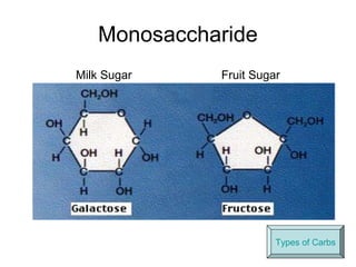 Monosaccharide
Milk Sugar   Fruit Sugar




                       Types of Carbs
 