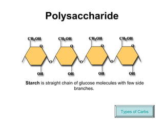 Polysaccharide




Starch is straight chain of glucose molecules with few side
                         branches.




                                               Types of Carbs
 
