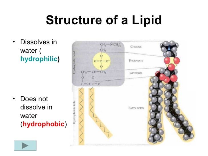 What will lipids dissolve in?