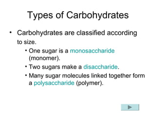 Types of Carbohydrates
• Carbohydrates are classified according
to size.
• One sugar is a monosaccharide
(monomer).
• Two sugars make a disaccharide.
• Many sugar molecules linked together form
a polysaccharide (polymer).
 