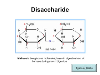 Disaccharide
Maltose is two glucose molecules; forms in digestive tract of
humans during starch digestion.
Types of Carbs
 