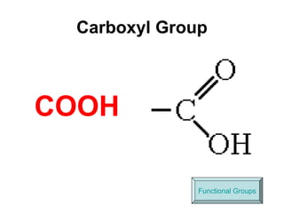 Carboxyl Group
COOH
Functional Groups
 