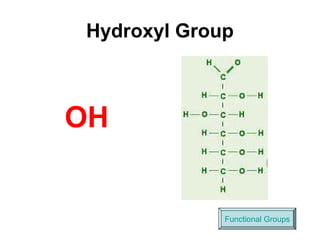 Hydroxyl Group
OH
Functional Groups
 