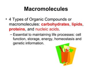 Macromolecules
• 4 Types of Organic Compounds or
macromolecules: carbohydrates, lipids,
proteins, and nucleic acids.
– Essential to maintaining life processes: cell
function, storage, energy, homeostasis and
genetic information.
 