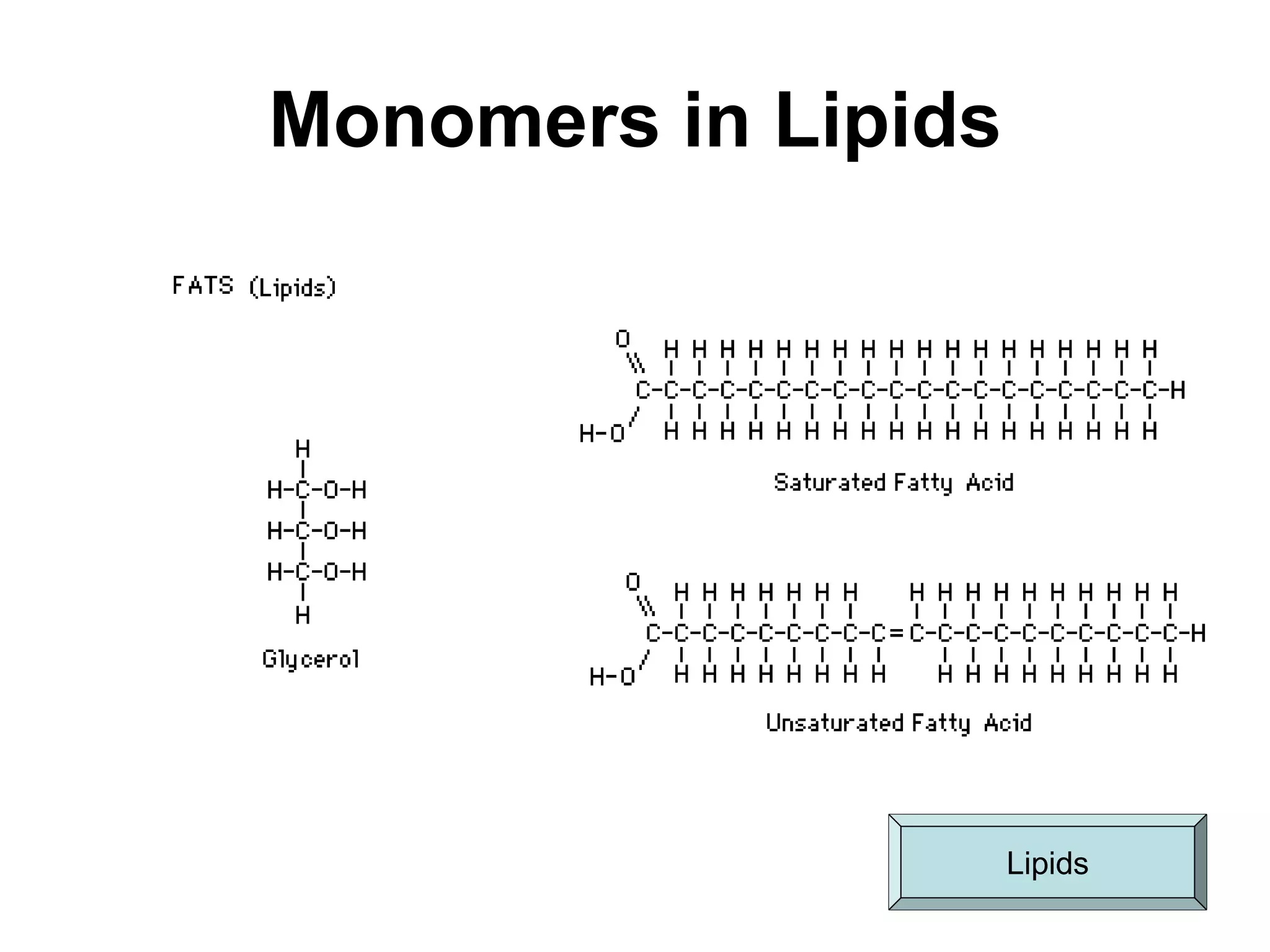 Monomers in Lipids
Lipids
 