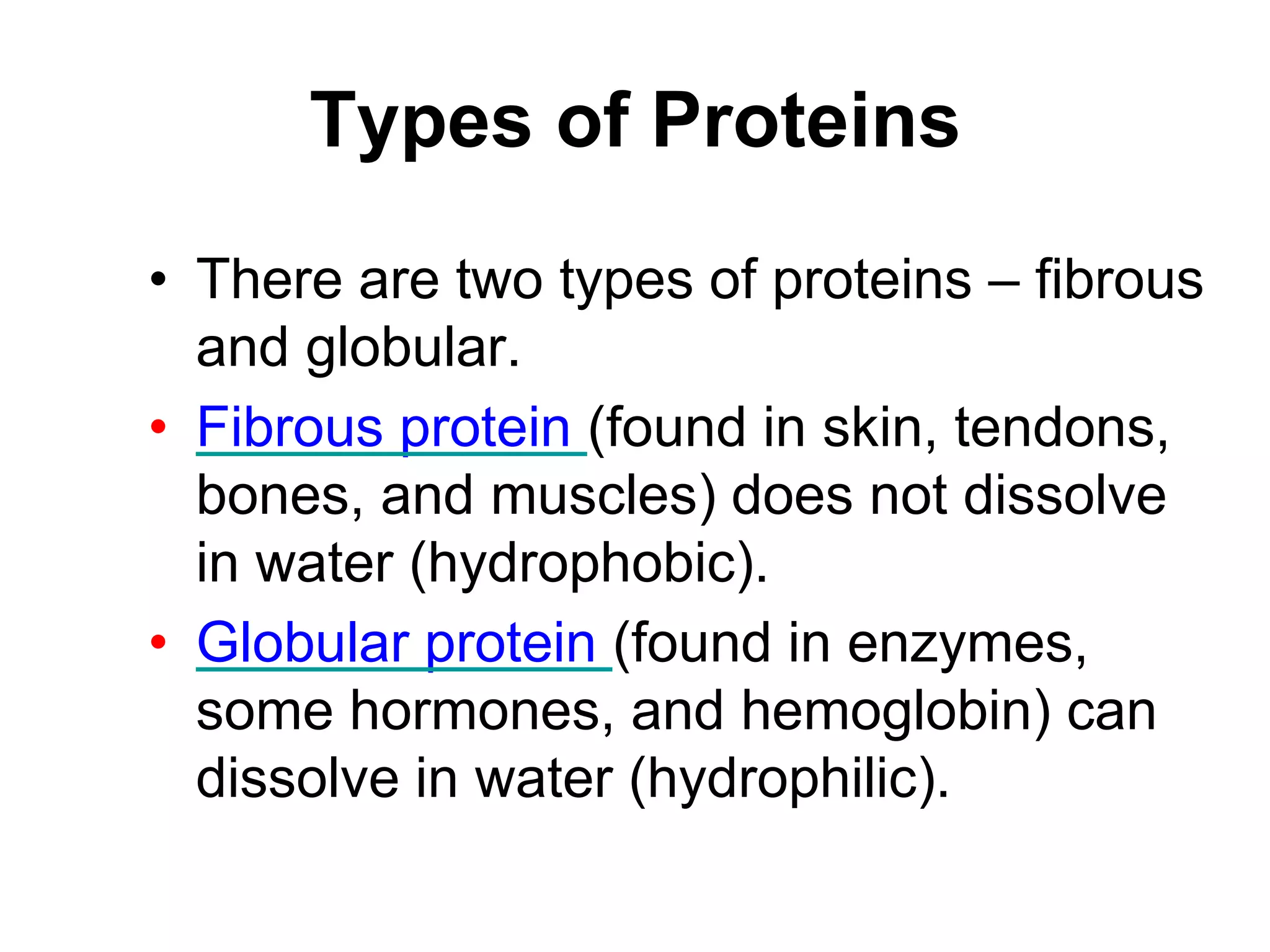 Types of Proteins
• There are two types of proteins – fibrous
and globular.
• Fibrous protein (found in skin, tendons,
bones, and muscles) does not dissolve
in water (hydrophobic).
• Globular protein (found in enzymes,
some hormones, and hemoglobin) can
dissolve in water (hydrophilic).
 