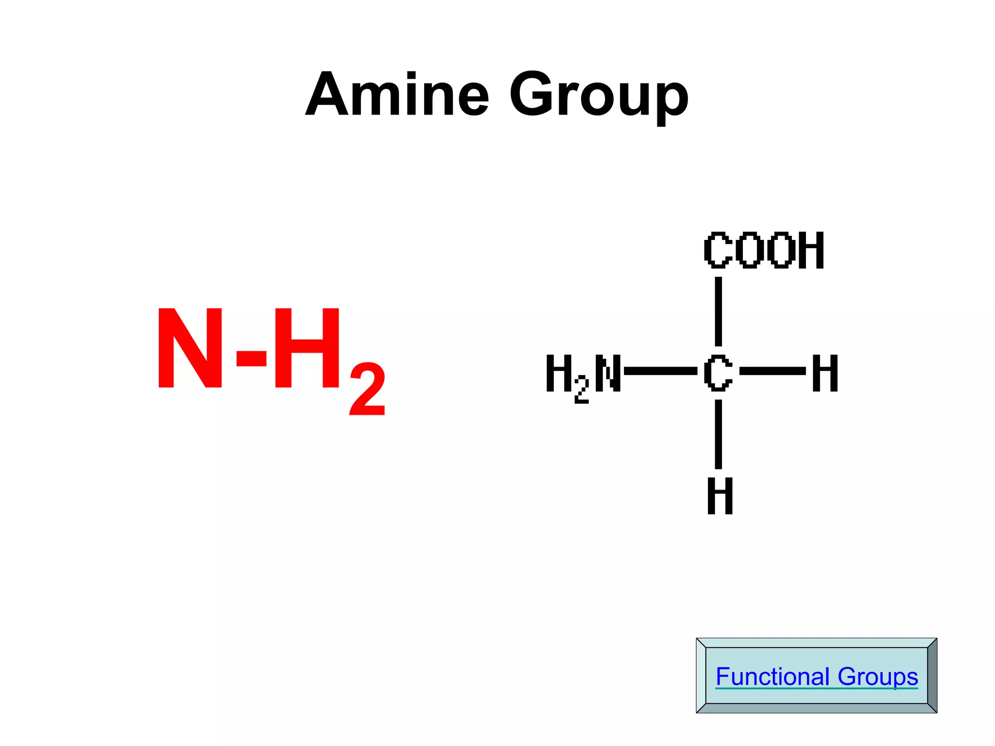 Amine Group
N-H2
Functional Groups
 