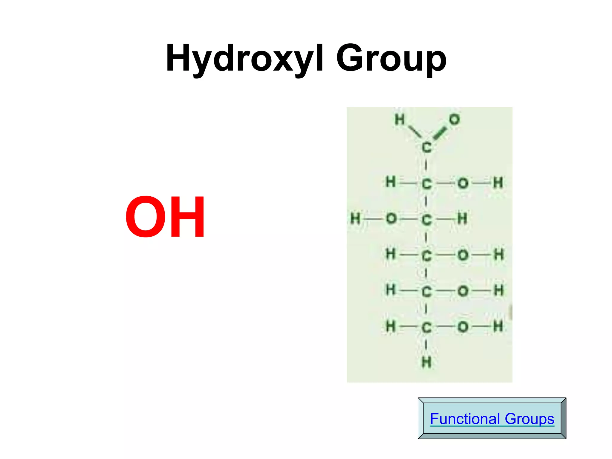 Hydroxyl Group
OH
Functional Groups
 