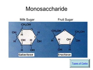 Monosaccharide
Milk Sugar Fruit Sugar
Types of Carbs
 