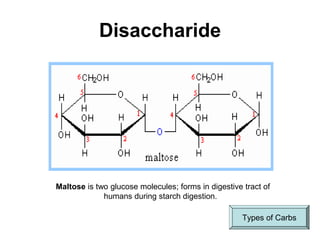 Disaccharide
Maltose is two glucose molecules; forms in digestive tract of
humans during starch digestion.
Types of Carbs
 
