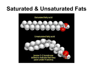 Saturated & Unsaturated Fats
 