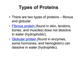 Types of Proteins
• There are two types of proteins – fibrous
and globular.
• Fibrous protein (found in skin, tendons,
bones, and muscles) does not dissolve
in water (hydrophobic).
• Globular protein (found in enzymes,
some hormones, and hemoglobin) can
dissolve in water (hydrophilic).
 