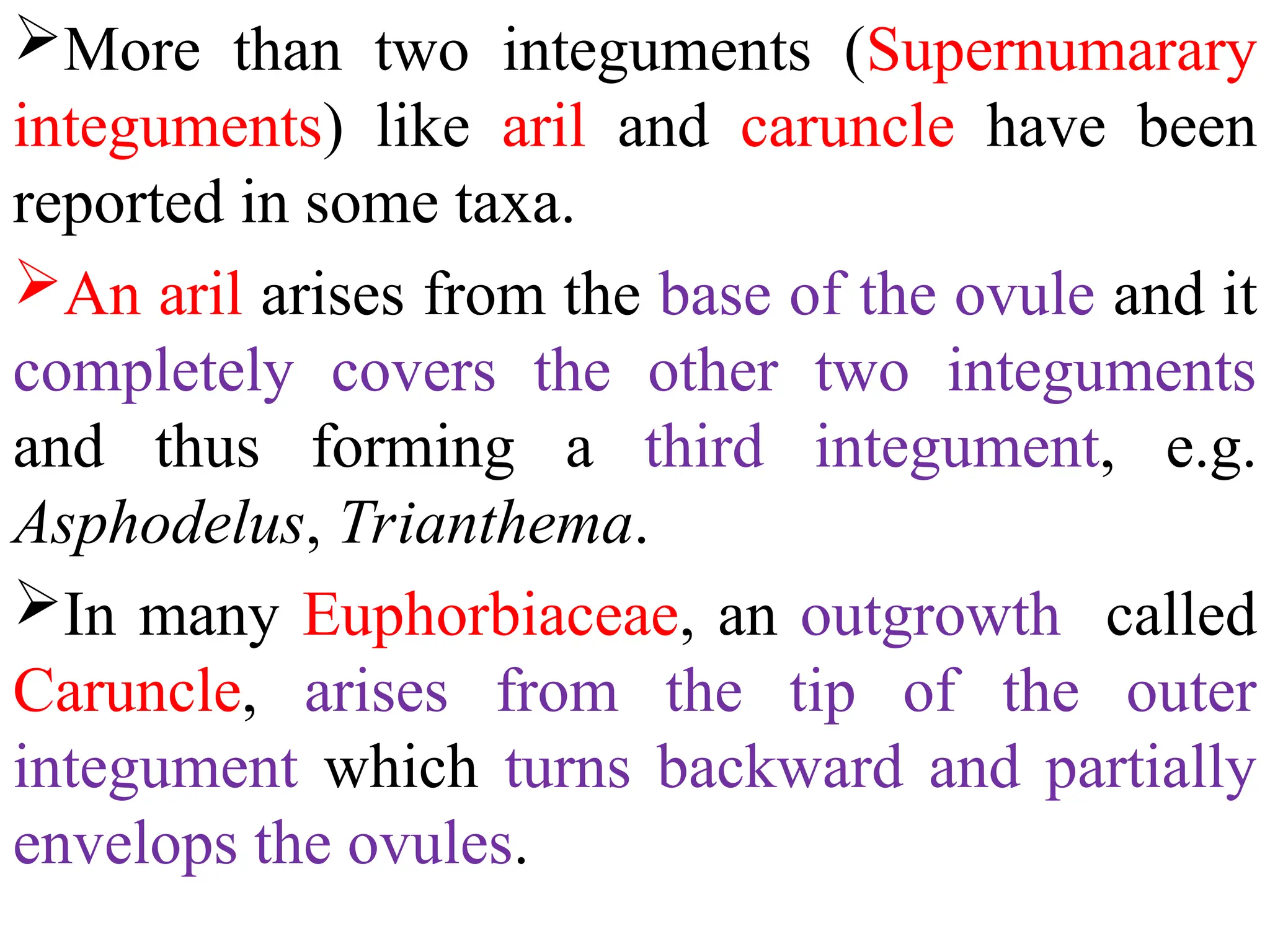 More than two integuments (Supernumarary
integuments) like aril and caruncle have been
reported in some taxa.
An aril arises from the base of the ovule and it
completely covers the other two integuments
and thus forming a third integument, e.g.
Asphodelus, Trianthema.
In many Euphorbiaceae, an outgrowth called
Caruncle, arises from the tip of the outer
integument which turns backward and partially
envelops the ovules.
 