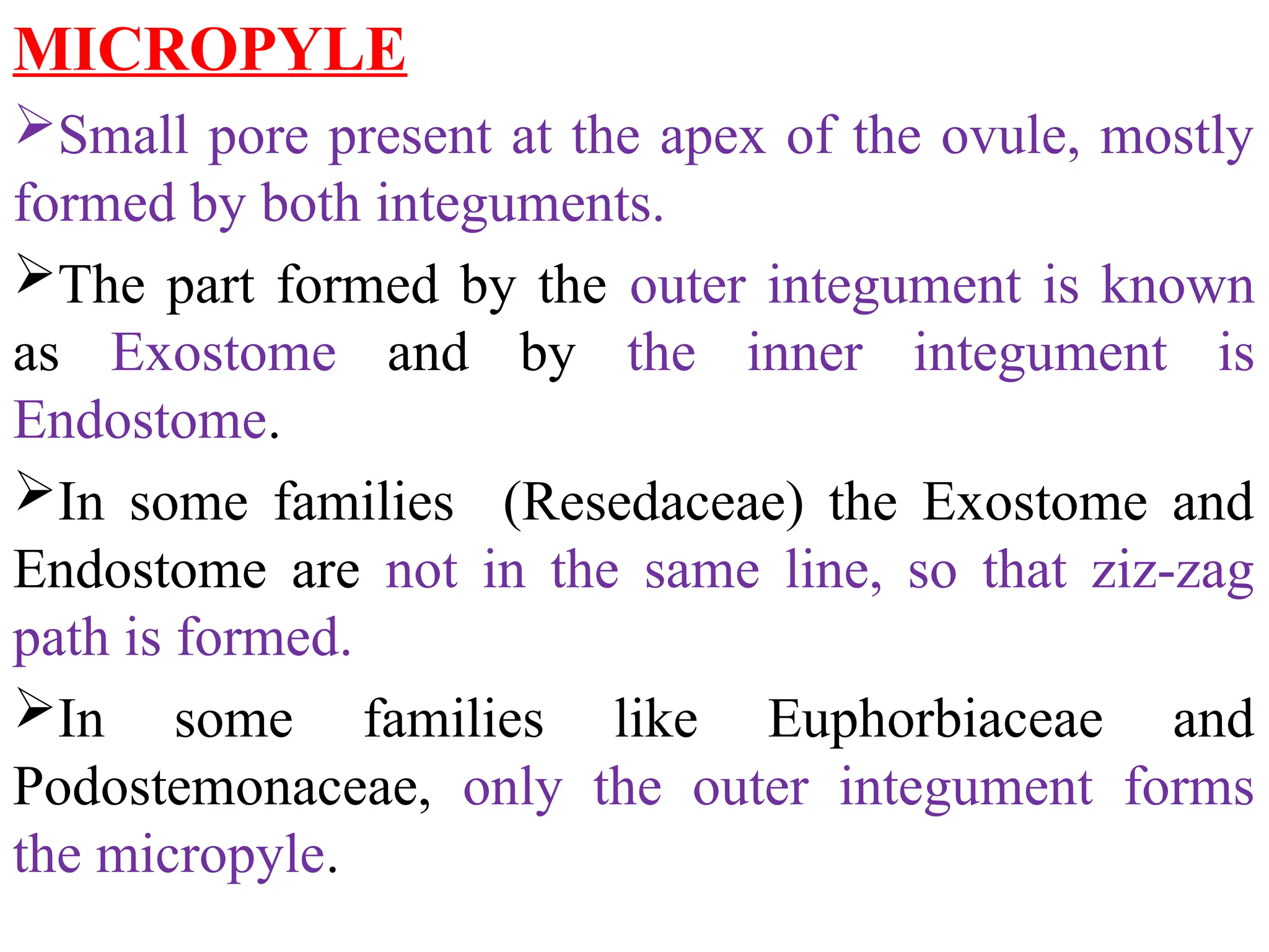 MICROPYLE
Small pore present at the apex of the ovule, mostly
formed by both integuments.
The part formed by the outer integument is known
as Exostome and by the inner integument is
Endostome.
In some families (Resedaceae) the Exostome and
Endostome are not in the same line, so that ziz-zag
path is formed.
In some families like Euphorbiaceae and
Podostemonaceae, only the outer integument forms
the micropyle.
 