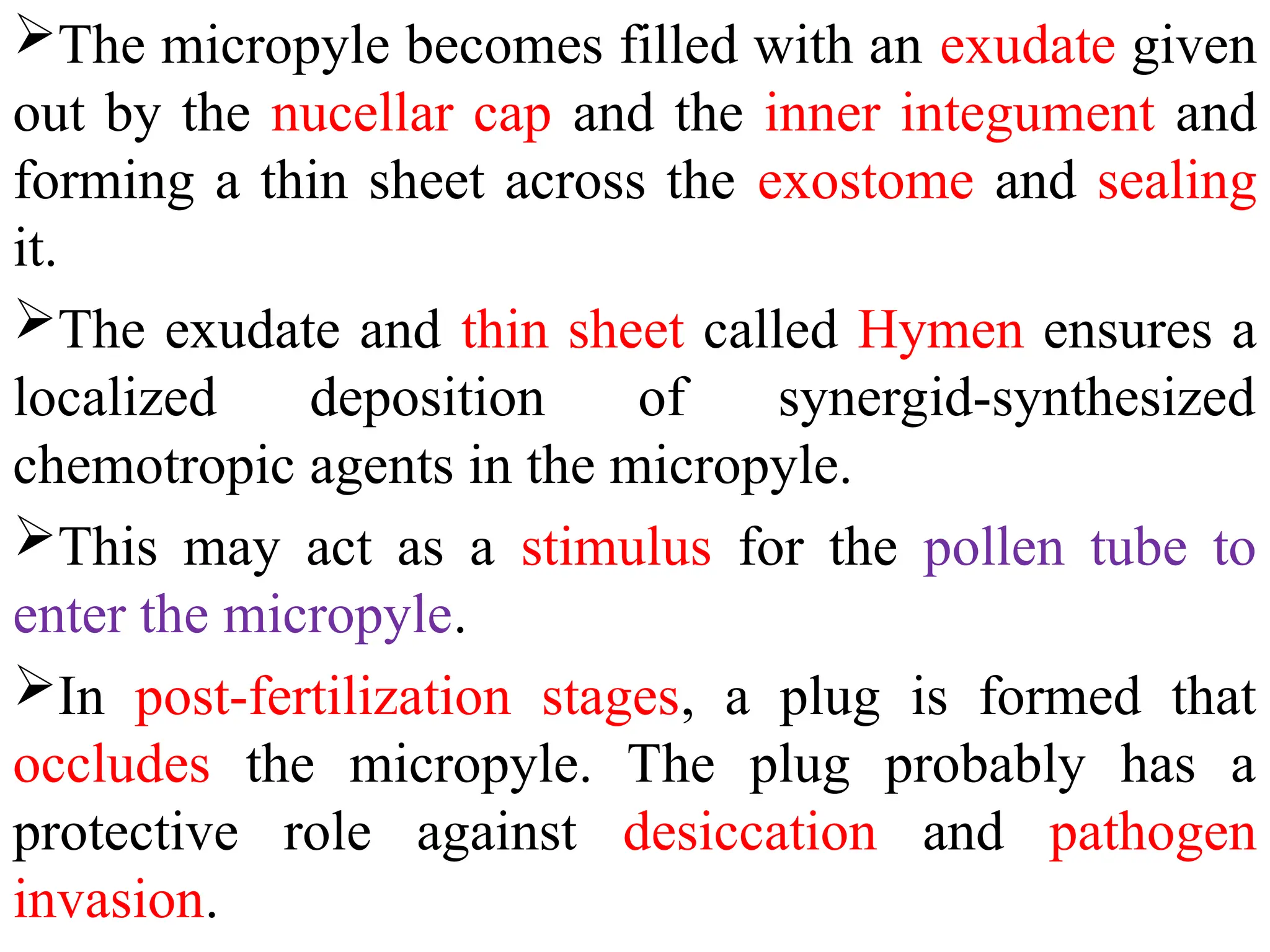 The micropyle becomes filled with an exudate given
out by the nucellar cap and the inner integument and
forming a thin sheet across the exostome and sealing
it.
The exudate and thin sheet called Hymen ensures a
localized deposition of synergid-synthesized
chemotropic agents in the micropyle.
This may act as a stimulus for the pollen tube to
enter the micropyle.
In post-fertilization stages, a plug is formed that
occludes the micropyle. The plug probably has a
protective role against desiccation and pathogen
invasion.
 