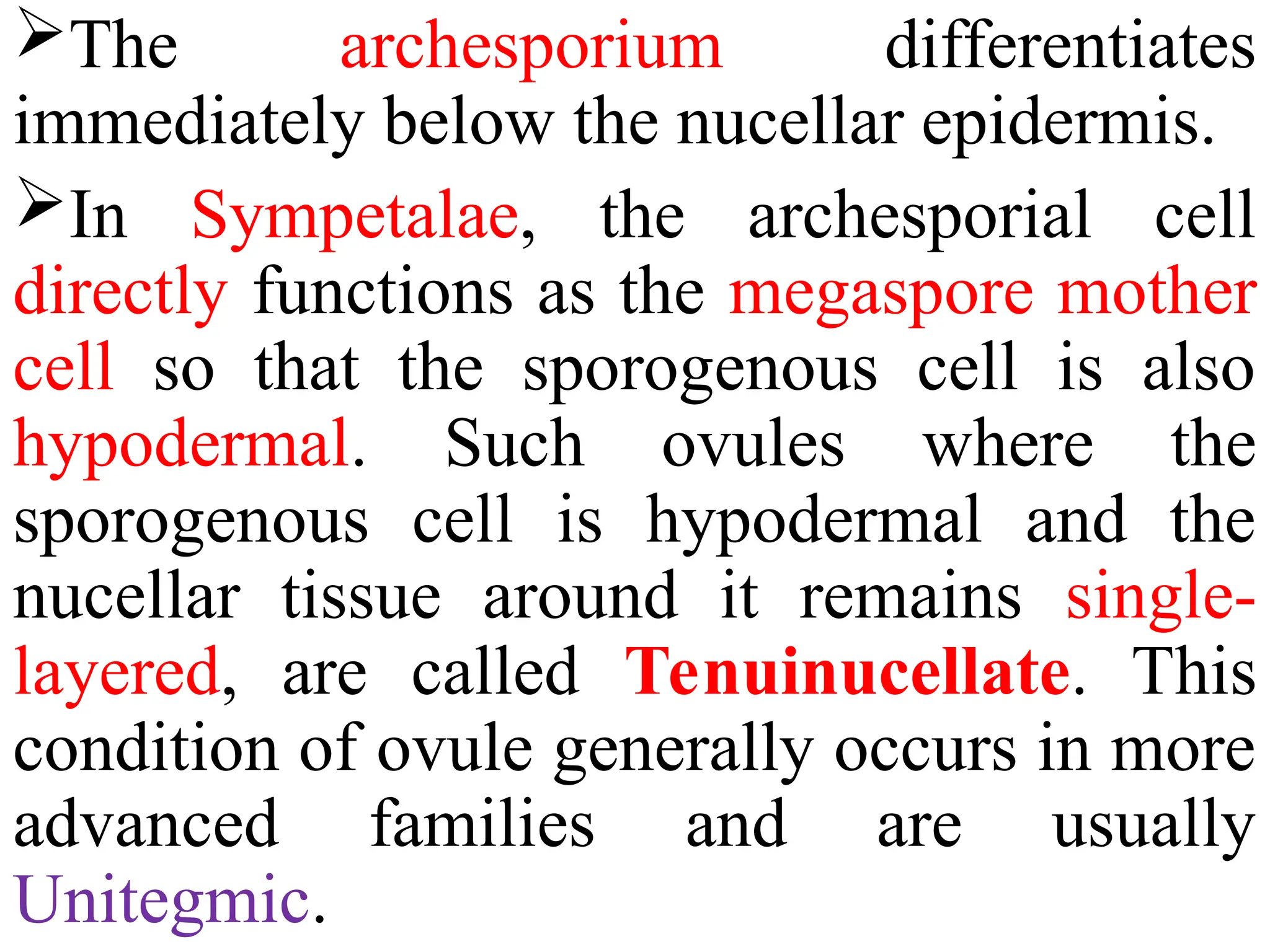 The archesporium differentiates
immediately below the nucellar epidermis.
In Sympetalae, the archesporial cell
directly functions as the megaspore mother
cell so that the sporogenous cell is also
hypodermal. Such ovules where the
sporogenous cell is hypodermal and the
nucellar tissue around it remains single-
layered, are called Tenuinucellate. This
condition of ovule generally occurs in more
advanced families and are usually
Unitegmic.
 