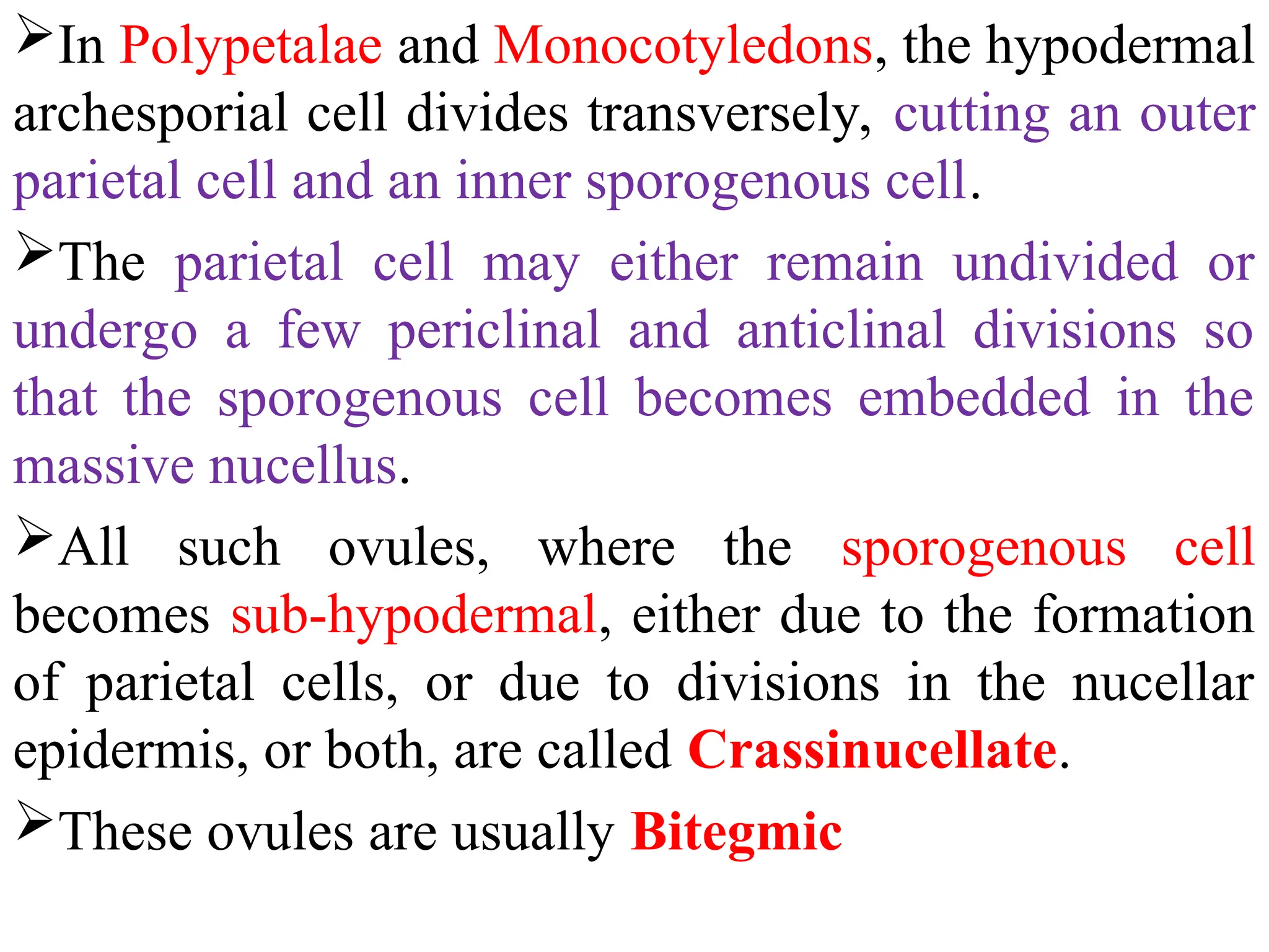 In Polypetalae and Monocotyledons, the hypodermal
archesporial cell divides transversely, cutting an outer
parietal cell and an inner sporogenous cell.
The parietal cell may either remain undivided or
undergo a few periclinal and anticlinal divisions so
that the sporogenous cell becomes embedded in the
massive nucellus.
All such ovules, where the sporogenous cell
becomes sub-hypodermal, either due to the formation
of parietal cells, or due to divisions in the nucellar
epidermis, or both, are called Crassinucellate.
These ovules are usually Bitegmic
 