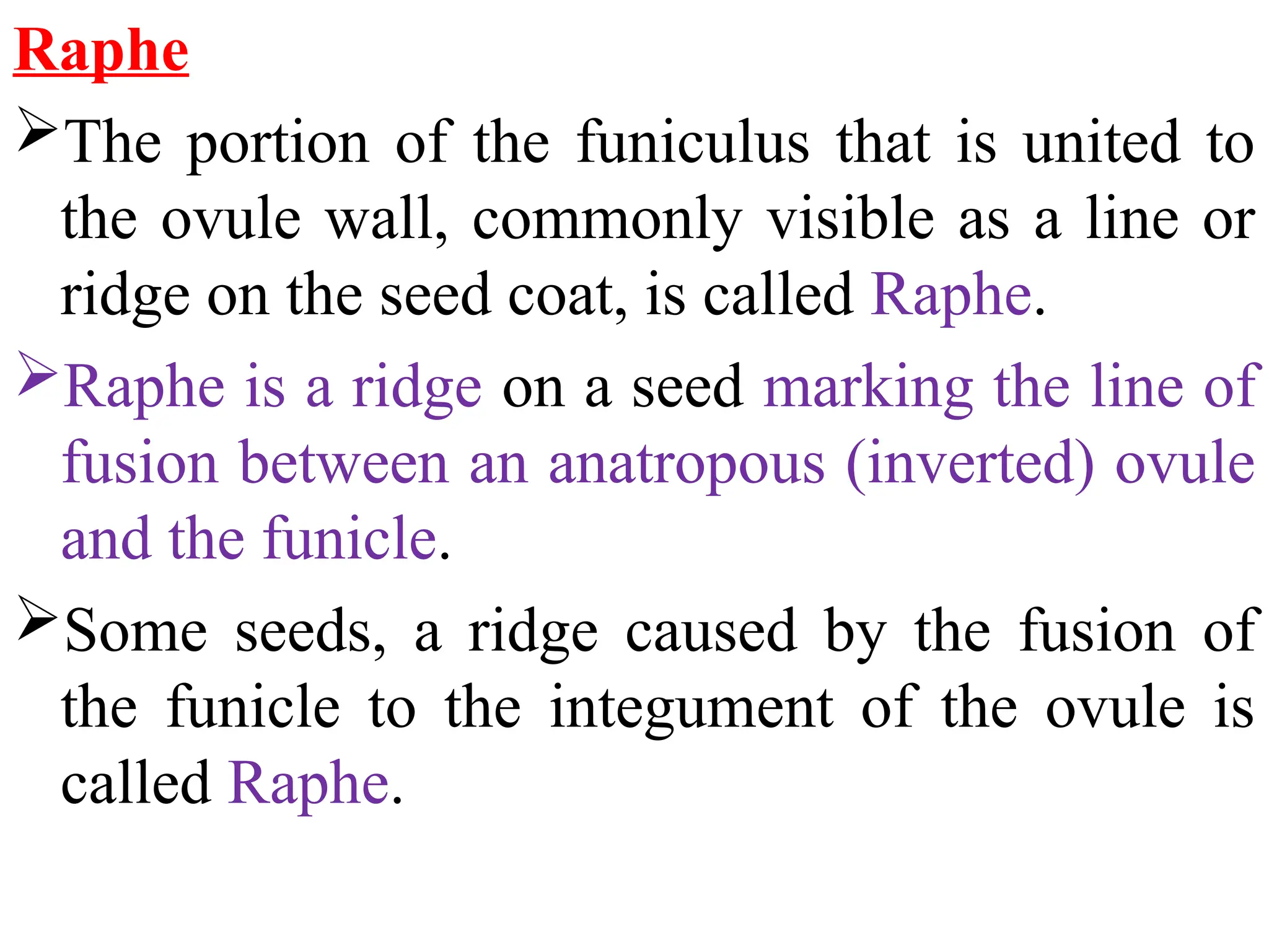 Raphe
The portion of the funiculus that is united to
the ovule wall, commonly visible as a line or
ridge on the seed coat, is called Raphe.
Raphe is a ridge on a seed marking the line of
fusion between an anatropous (inverted) ovule
and the funicle.
Some seeds, a ridge caused by the fusion of
the funicle to the integument of the ovule is
called Raphe.
 