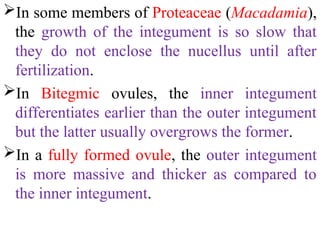 In some members of Proteaceae (Macadamia),
the growth of the integument is so slow that
they do not enclose the nucellus until after
fertilization.
In Bitegmic ovules, the inner integument
differentiates earlier than the outer integument
but the latter usually overgrows the former.
In a fully formed ovule, the outer integument
is more massive and thicker as compared to
the inner integument.
 