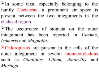In some taxa, especially belonging to the
family Cactaceae, a prominent air space is
present between the two integuments in the
chalazal region.
The occurrence of stomata on the outer
integument has been reported in Cleome,
Isomeris and Magnolia.
Chloroplasts are present in the cells of the
outer integument in several monocotyledons
such as Gladiolus, Lilium, Amaryllis and
Moringa.
 