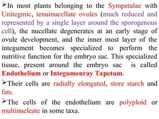In most plants belonging to the Sympetalae with
Unitegmic, tenuinucellate ovules (much reduced and
represented by a single layer around the sporogenous
cell), the nucellate degenerates at an early stage of
ovule development, and the inner most layer of the
integument becomes specialized to perform the
nutritive function for the embryo sac. This specialized
tissue, present around the embryo sac is called
Endothelium or Integumenray Tapetum.
Their cells are radially elongated, store starch and
fats.
The cells of the endothelium are polyploid or
multinucleate in some taxa.
 