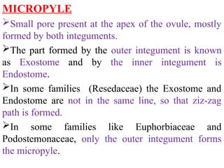 MICROPYLE
Small pore present at the apex of the ovule, mostly
formed by both integuments.
The part formed by the outer integument is known
as Exostome and by the inner integument is
Endostome.
In some families (Resedaceae) the Exostome and
Endostome are not in the same line, so that ziz-zag
path is formed.
In some families like Euphorbiaceae and
Podostemonaceae, only the outer integument forms
the micropyle.
 