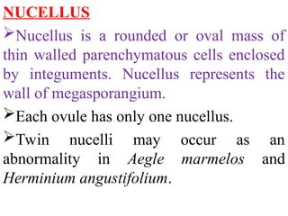 NUCELLUS
Nucellus is a rounded or oval mass of
thin walled parenchymatous cells enclosed
by integuments. Nucellus represents the
wall of megasporangium.
Each ovule has only one nucellus.
Twin nucelli may occur as an
abnormality in Aegle marmelos and
Herminium angustifolium.
 