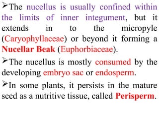 The nucellus is usually confined within
the limits of inner integument, but it
extends in to the micropyle
(Caryophyllaceae) or beyond it forming a
Nucellar Beak (Euphorbiaceae).
The nucellus is mostly consumed by the
developing embryo sac or endosperm.
In some plants, it persists in the mature
seed as a nutritive tissue, called Perisperm.
 