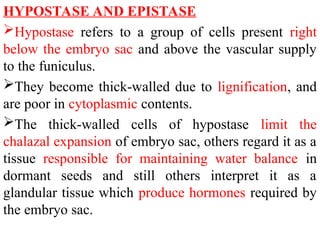 HYPOSTASE AND EPISTASE
Hypostase refers to a group of cells present right
below the embryo sac and above the vascular supply
to the funiculus.
They become thick-walled due to lignification, and
are poor in cytoplasmic contents.
The thick-walled cells of hypostase limit the
chalazal expansion of embryo sac, others regard it as a
tissue responsible for maintaining water balance in
dormant seeds and still others interpret it as a
glandular tissue which produce hormones required by
the embryo sac.
 