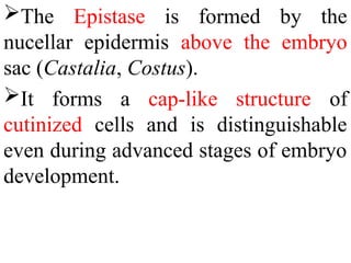 The Epistase is formed by the
nucellar epidermis above the embryo
sac (Castalia, Costus).
It forms a cap-like structure of
cutinized cells and is distinguishable
even during advanced stages of embryo
development.
 