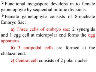 Functional megaspore develops in to female
gametophyte by sequential mitotic divisions.
Female gametophyte consists of 8-nucleate
Embryo Sac:
a) Three cells of embryo sac: 2 synergids
and 1 egg cell at micropylar end forms the egg
apparatus.
b) 3 antipodal cells are formed at the
chalazal end.
c) Central cell consists of 2 polar nuclei
 
