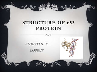 STRUCTURE OF P53
PROTEIN
SHRUTHI .K
18308019
 