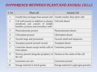 Structure of plant and animal cell | PPTX