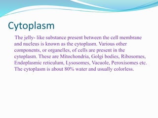 Cytoplasm
The jelly- like substance present between the cell membrane
and nucleus is known as the cytoplasm. Various other
components, or organelles, of cells are present in the
cytoplasm. These are Mitochondria, Golgi bodies, Ribosomes,
Endoplasmic reticulum, Lysosomes, Vacuole, Peroxisomes etc.
The cytoplasm is about 80% water and usually colorless.
 