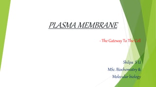 PLASMA MEMBRANE
- The Gateway To The Cell
Shilpa S U
MSc. Biochemistry &
Molecular biology
 