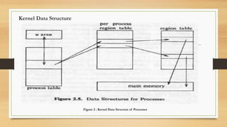 Structure of processes ppt | PPTX