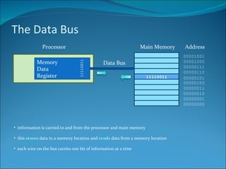 The Data Bus Memory Data Register Processor Main Memory 11110011 Address 00000000 00000001 00000010 00000011 00000100 00000101 00000110 00000111 00001000 00001001 Data Bus information is carried to and from the processor and main memory this  stores  data in a memory location and  reads  data from a memory location each wire on the bus carries one bit of information at a time 