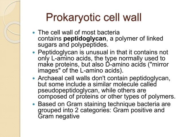Structure of prokaryotic cell.pptx