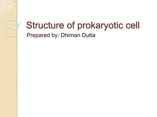 Structure of prokaryotic cell
Prepared by: Dhiman Dutta
 