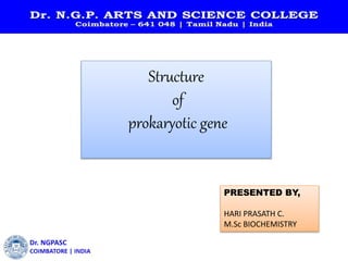 Structure
of
prokaryotic gene
PRESENTED BY,
HARI PRASATH C.
M.Sc BIOCHEMISTRY
 