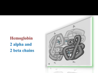 Protein Chemistry and Functions | PDF