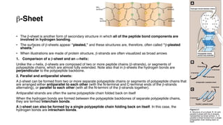 Structure of protein 3 this will help you a lot... | PDF