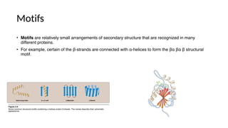 Structure of protein 3 this will help you a lot... | PDF