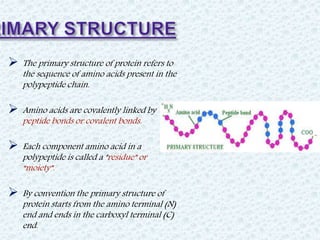 Protein structure ppt deals
